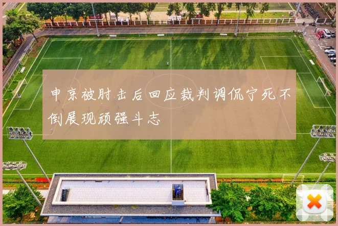 申京被肘击后回应裁判调侃宁死不倒展现顽强斗志